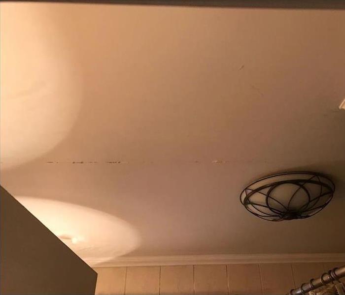 Ceiling with ornate fixture and signs of water damage