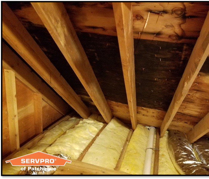 Attic Mold Damage, Long Island NY SERVPRO of Patchogue Before and After Photo