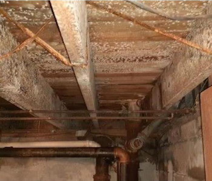 Basement with mold damage across the wood support beams