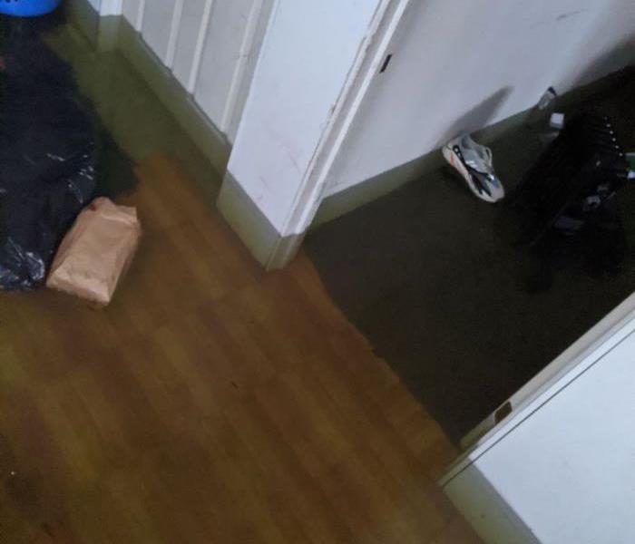 Wood floorboards and carpeted hallway with signs of water damage