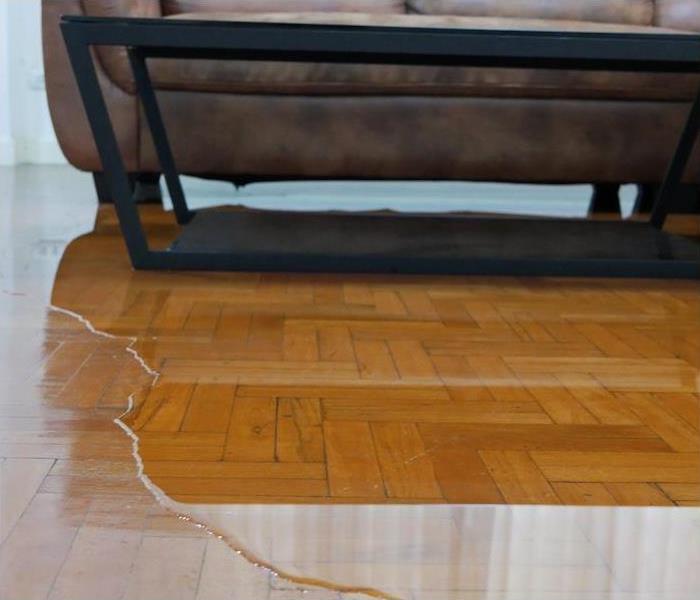 water pooling on hardwood surface underneath home furniture