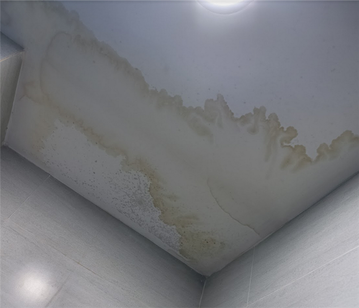 a water damaged ceiling with water marks everywhere
