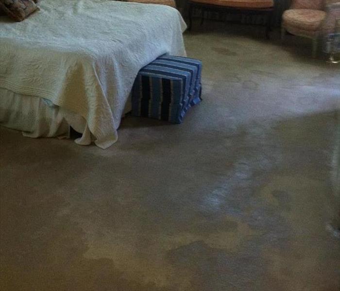 Water Soaked Carpet