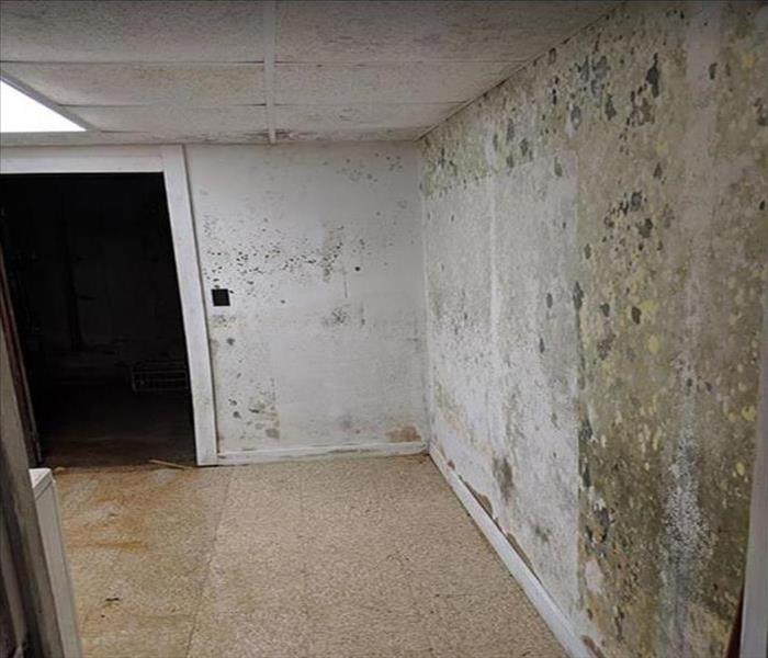 Heavy mold on wall and ceiling of commercial building